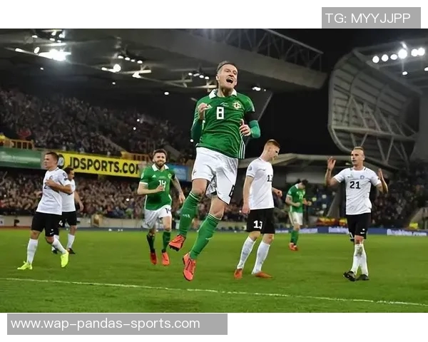 爱尔兰足球的崛起与挑战探索绿岛足球的未来发展之路