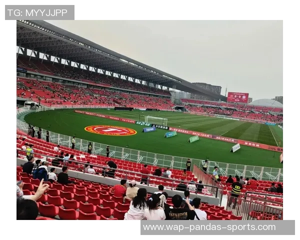 辽宁足球队员最新名单及其在赛季中的表现分析与展望