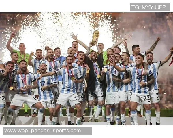 世界杯足球网带你畅游全球足球盛宴尽享赛事精彩与激情